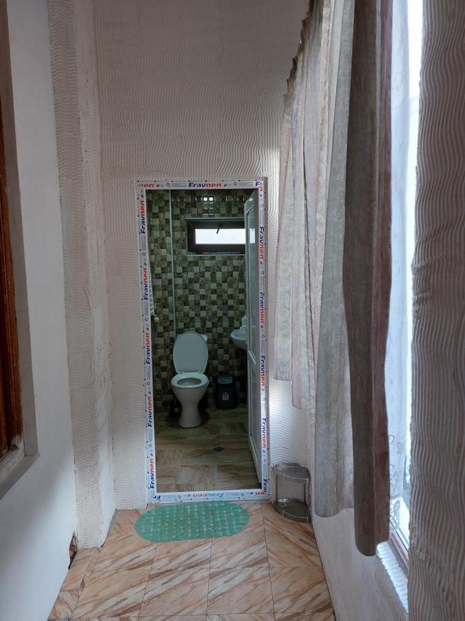 Vaniko'S Guesthouse Borjomi Ngoại thất bức ảnh